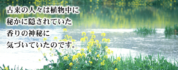 バイオアロマ~「アロマクラブ会員制」でのMLM成功方法の仕組みと口コミ